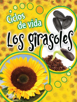cover image of Ciclos de vida: Los girasoles (Life Cycles: Sunflowers)